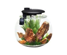 Aquasphere 360⁰ Fish Aquarium