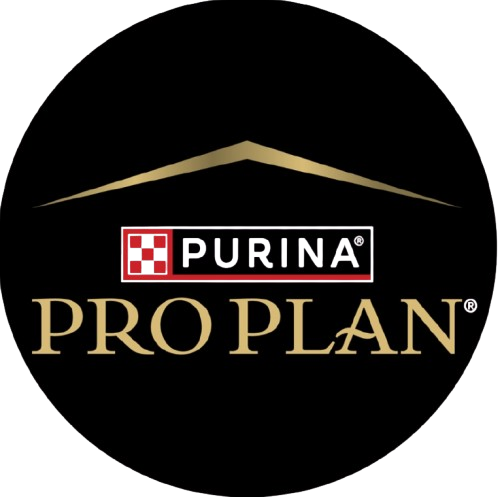 Screenshot__27_-removebg-preview